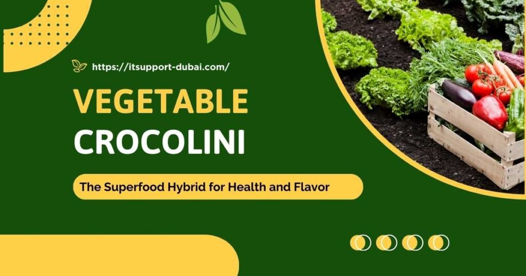Fresh crocolini vegetable, a hybrid of broccoli and kale with tender stems and vibrant green florets.