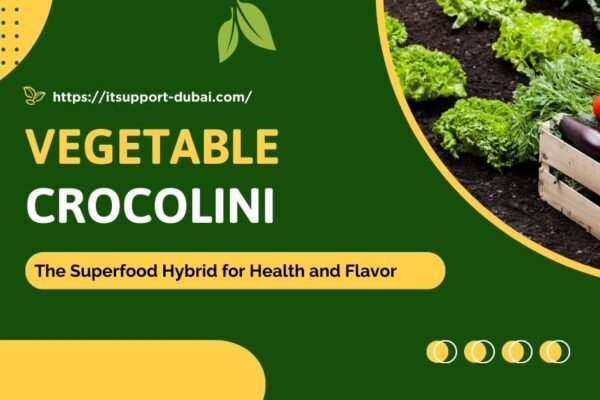 Fresh crocolini vegetable, a hybrid of broccoli and kale with tender stems and vibrant green florets.