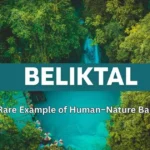 Beliktal natural landscape showing untouched human nature balance