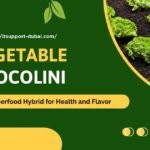 Fresh crocolini vegetable, a hybrid of broccoli and kale with tender stems and vibrant green florets.