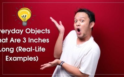 Everyday objects that are about 3 inches long for size comparison