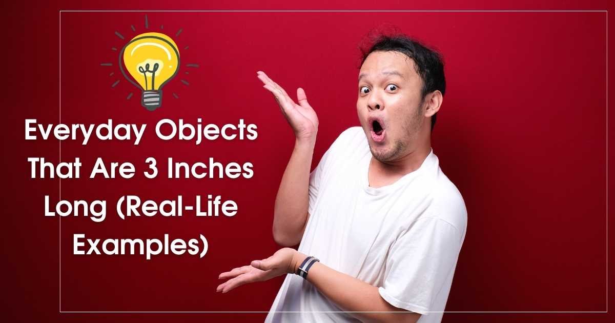 Everyday objects that are about 3 inches long for size comparison