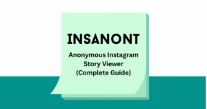 Insanont anonymous Instagram story viewer tool for private story viewing