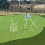 Upgrade Your Lawn the Smart Way With a Turf Company Richardson