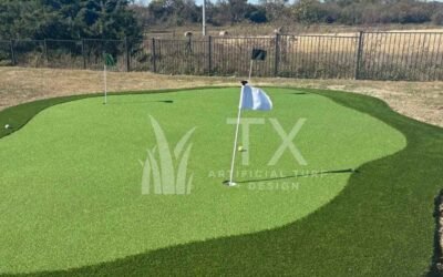 Upgrade Your Lawn the Smart Way With a Turf Company Richardson